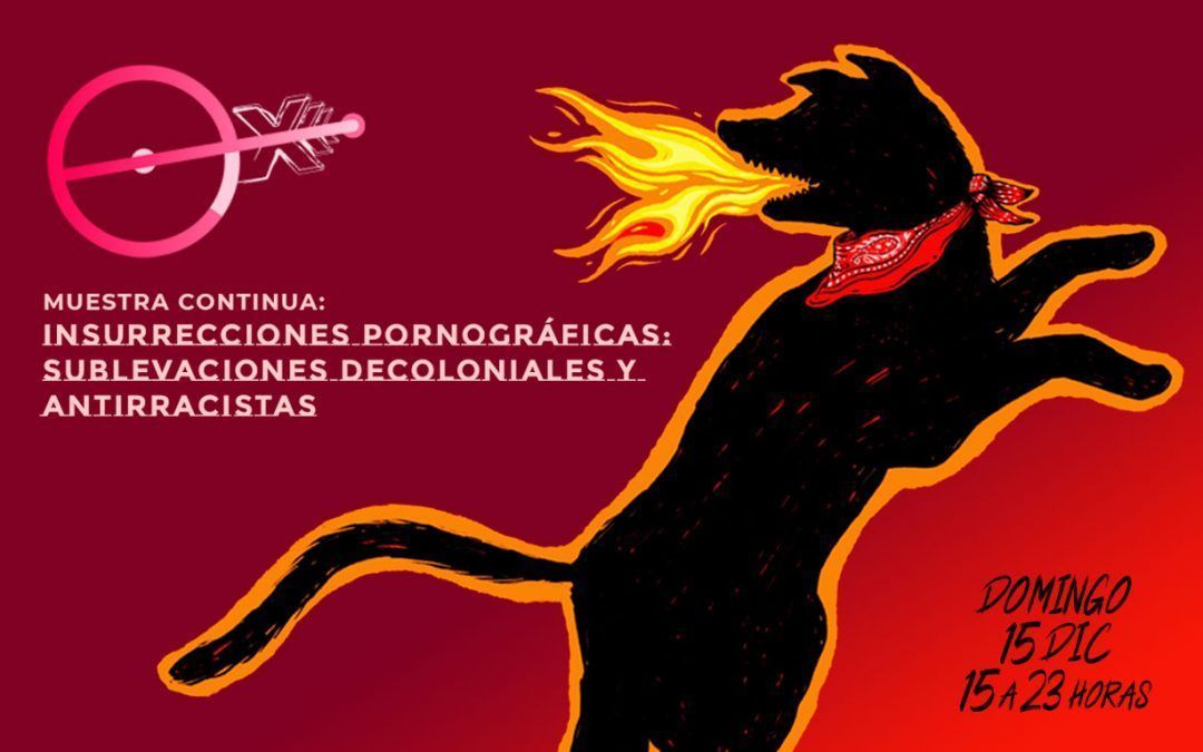 PROGRAMA DE PORNOGRAFÍAS CRÍTICAS EN «PRIMERA LÍNEA» DICIEMBRE 2019