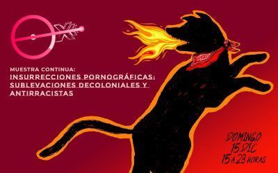 PROGRAMA DE PORNOGRAFÍAS CRÍTICAS EN «PRIMERA LÍNEA» DICIEMBRE 2019