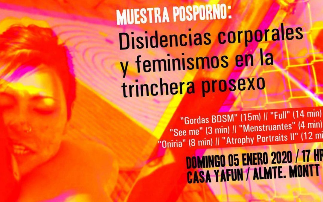 DISIDENCIAS CORPORALES Y FEMINISMOS EN LA TRINCHERA PROSEXO