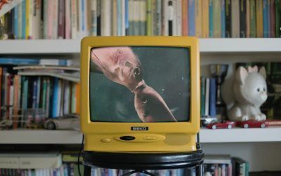 Excéntrico fest, segunda muestra internacional de pornografías críticas (1): Un informe en tres escenas