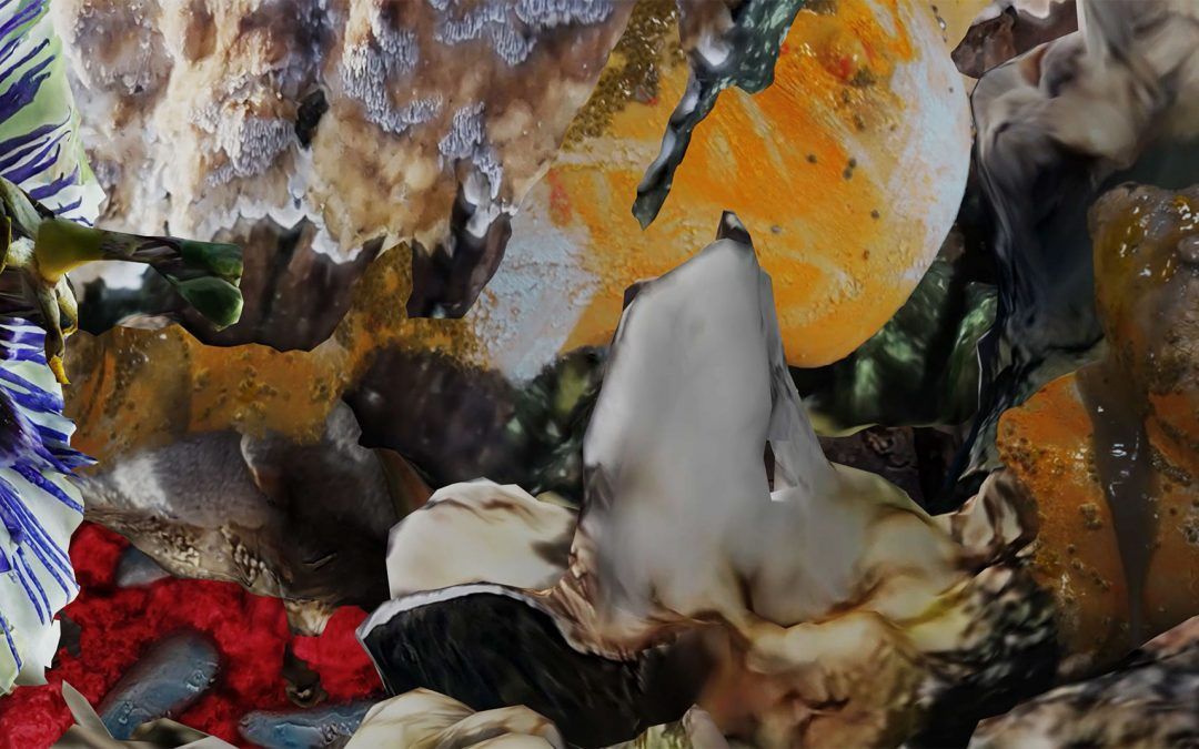 Fragmented Delicacies