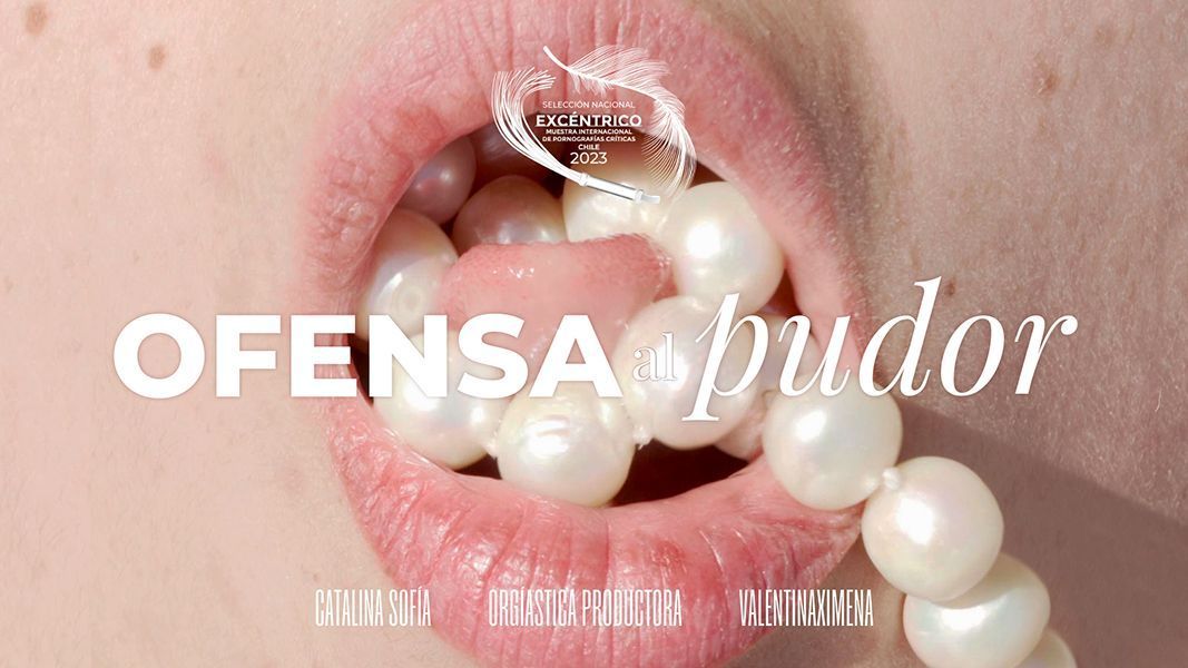 Ofensa al pudor