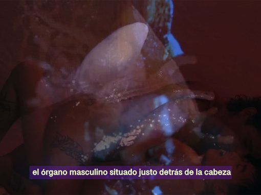 Apareamiento de Limax maximus